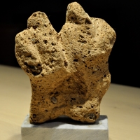 210-copy